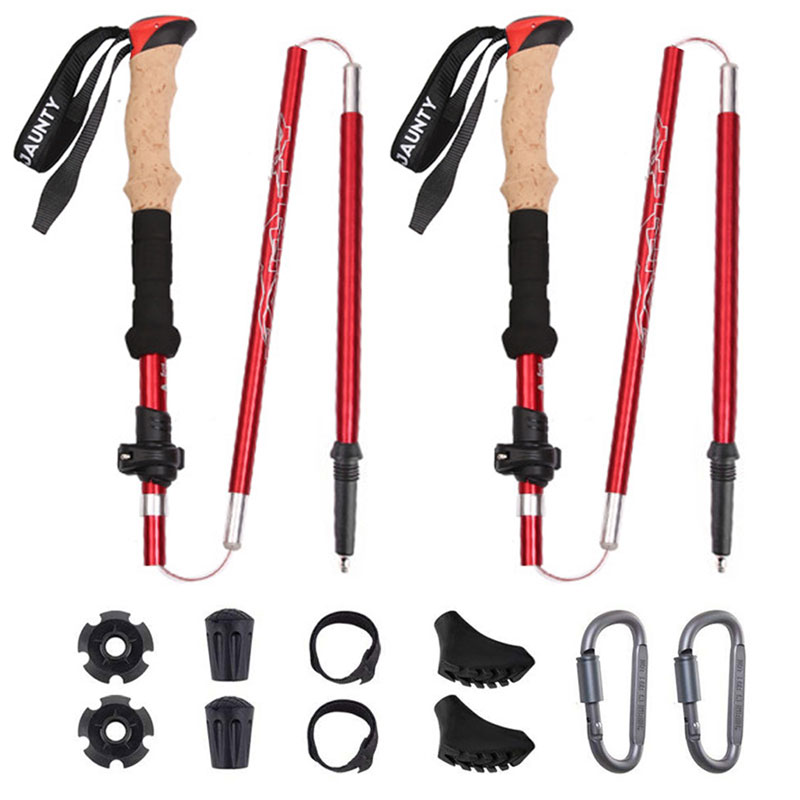 Kempingas „Carbon Trekking Poles“